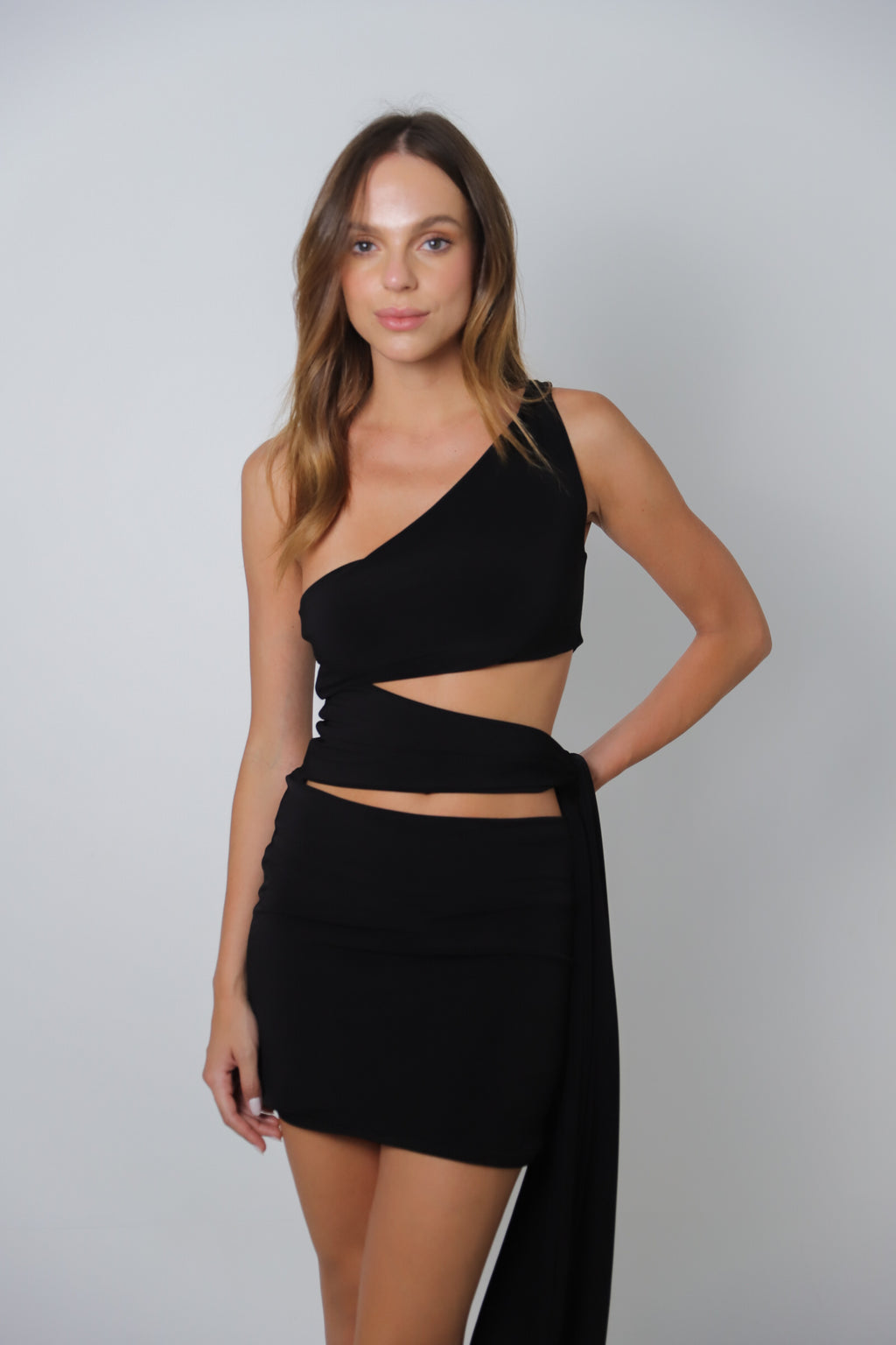 SASHA DRESS